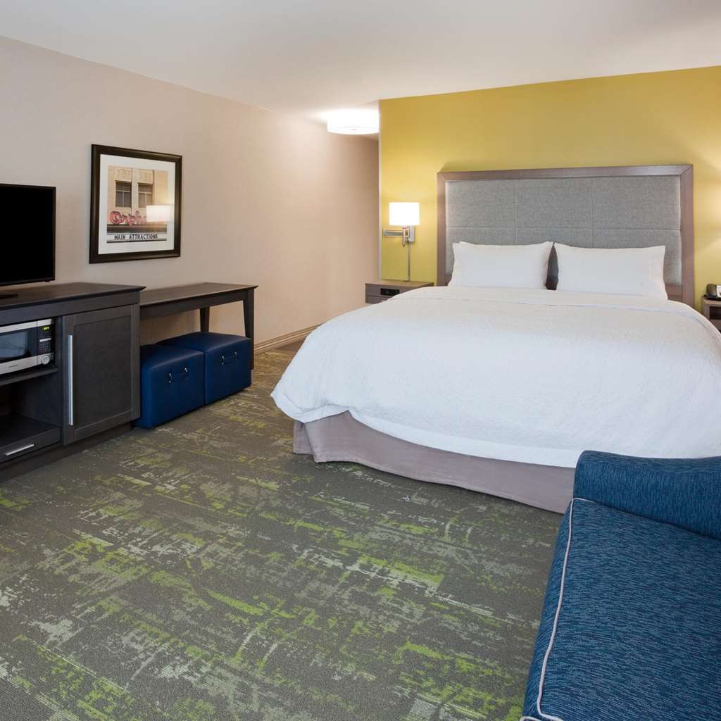 Hampton Inn & Suites Sioux City South, Ia Værelse billede