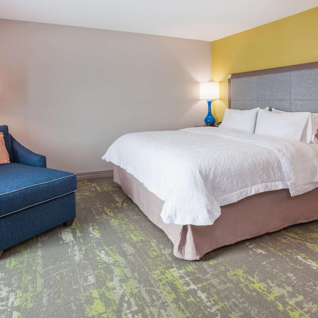 Hampton Inn & Suites Sioux City South, Ia Værelse billede